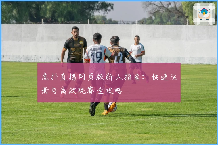 虎扑直播网页版新人指南:快速注册与高效观赛全攻略